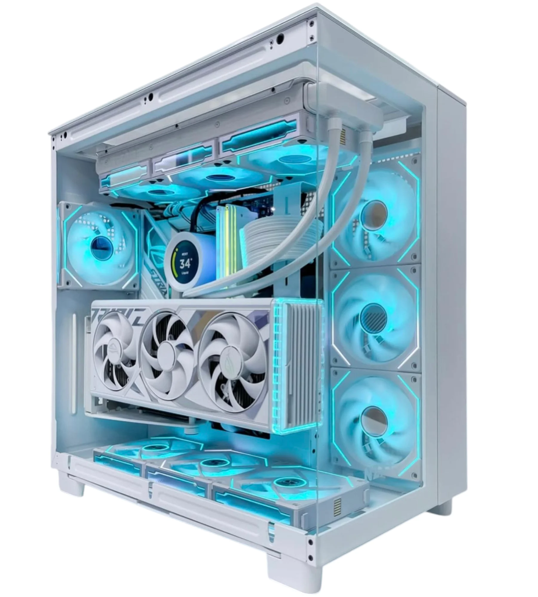 XPC Surgeon
